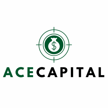 acecapital.com.au premium domain for sale