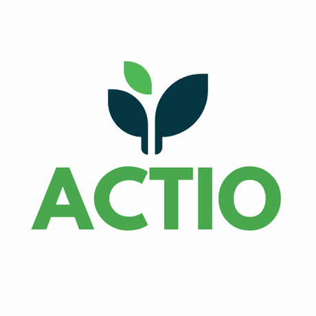 actio.com.au premium domain for sale