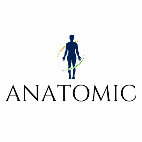 anatomic.com.au premium domain