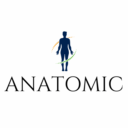 anatomic.com.au premium domain