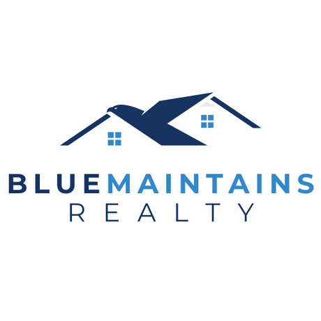 bluemountainsrealty.com.au premium domain for sale