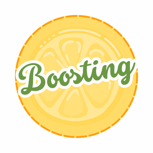 boosting.com.au premium domain for sale