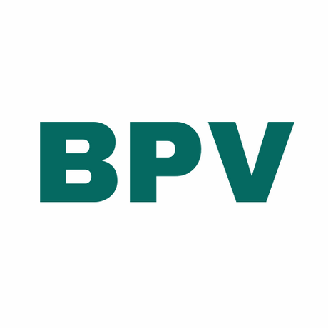 bpv.com.au premium domain