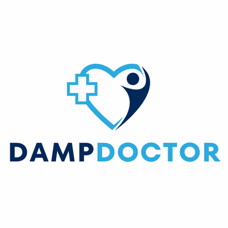 dampdoctor.com.au premium domain for sale