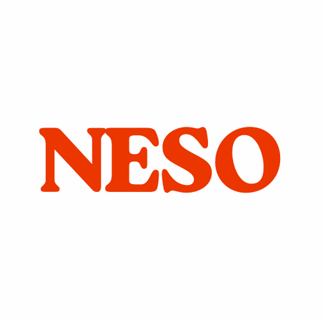 neso.com.au premium domain for sale