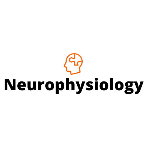 neurophysiology.com.au