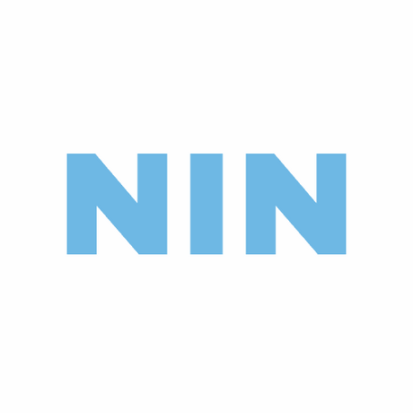 nin.com.au premium domain