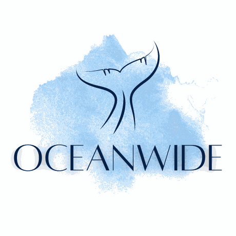 oceanwide.com.au premium domain