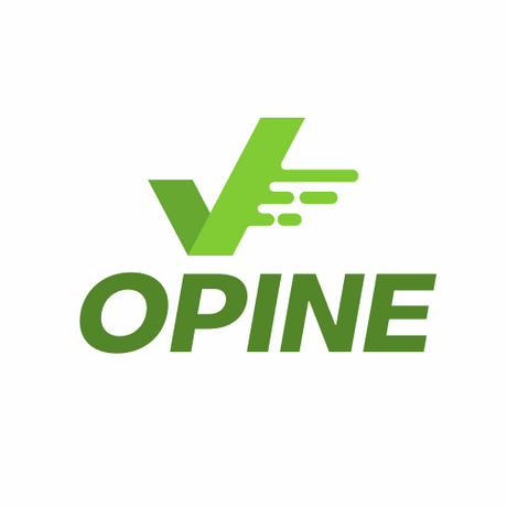 opine.com.au premium domain for sale