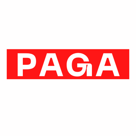 paga.com.au premium domain for sale