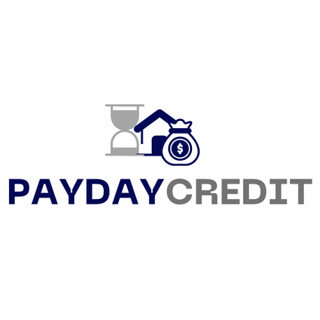 paydaycredit.com.au premium domain