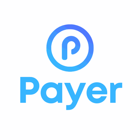 payer.com.au premium domain for sale