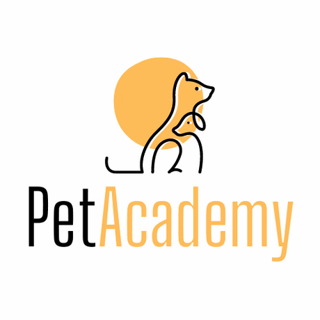 petacademy.com.au premium domain for sale