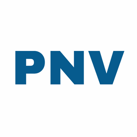 pnv.com.au premium domain