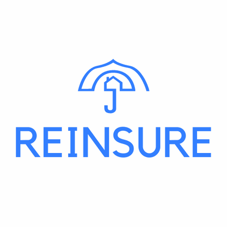 reinsure.com.au premium domain for sale