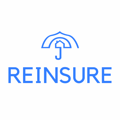 reinsure.com.au premium domain for sale