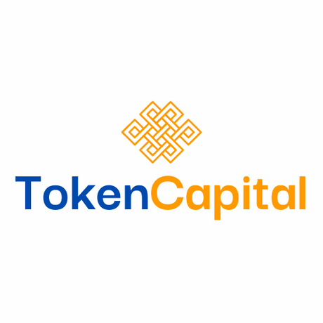 tokencapital.com.au premium domain