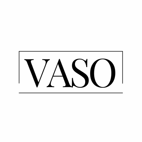 vaso.com.au premium domain for sale