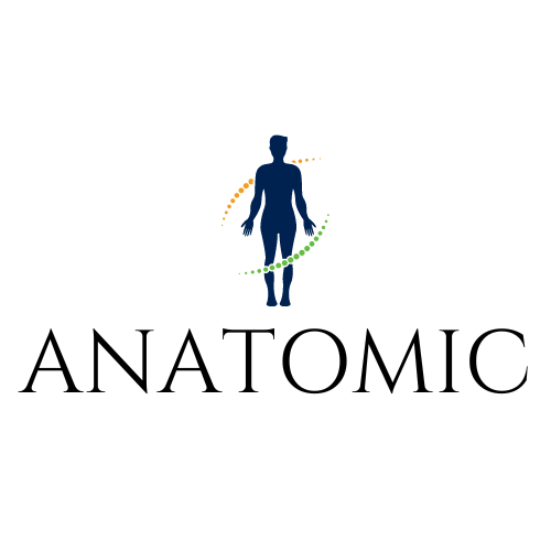 anatomic.com.au