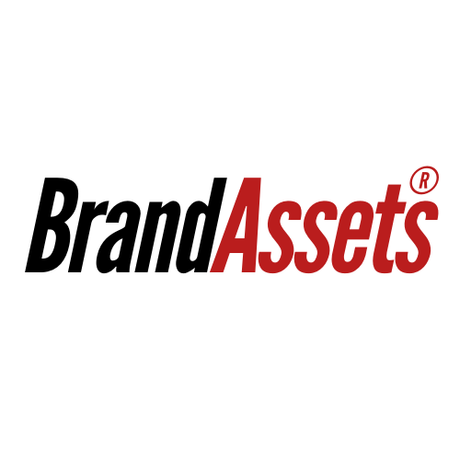 brandassets.com.au premium domain