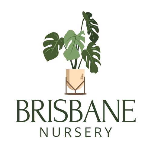 brisbanenursery.com.au