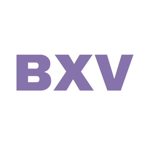 bxv.com.au premium domain