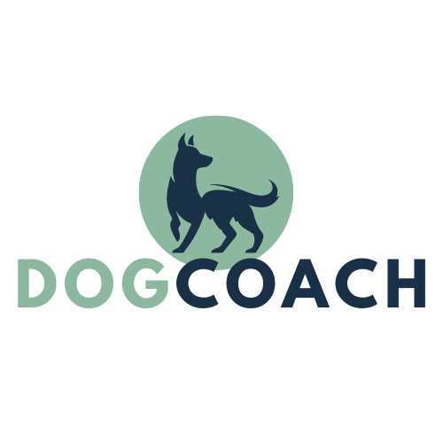 dogcoach.com.au