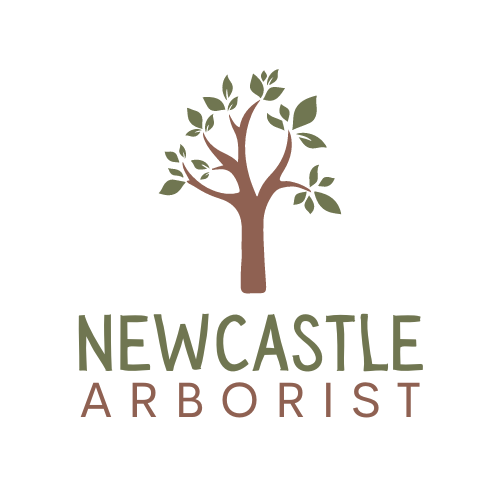 newcastlearborist.com.au premium domain for sale