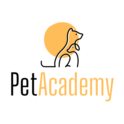 petacademy.com.au