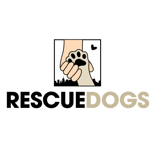 rescuedogs.com.au