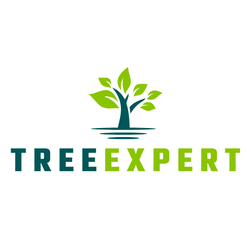 treeexpert.com.au