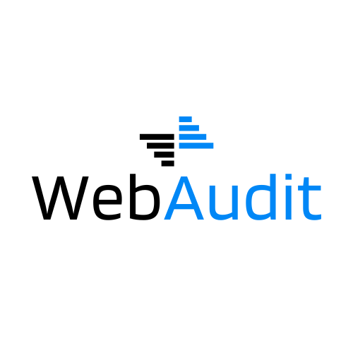 webaudit.com.au